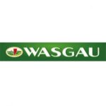 Download - WASGAU Logo / Dachmarke