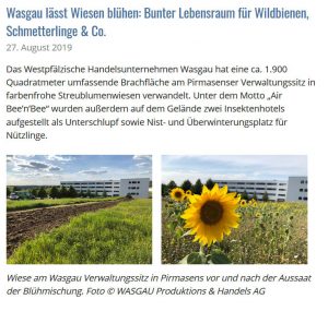 WASGAU lässt Wiesen blühen