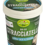 Download - Neue Sorte WASGAU Bio-Eis Stracciatella