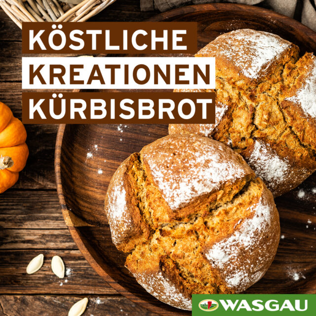 Zwei Brote mit rustikalem Kürbisbrot - echte Brotkreationen - liegen auf einem Holztisch, umgeben von Kürbiskernen und einem kleinen Kürbis.