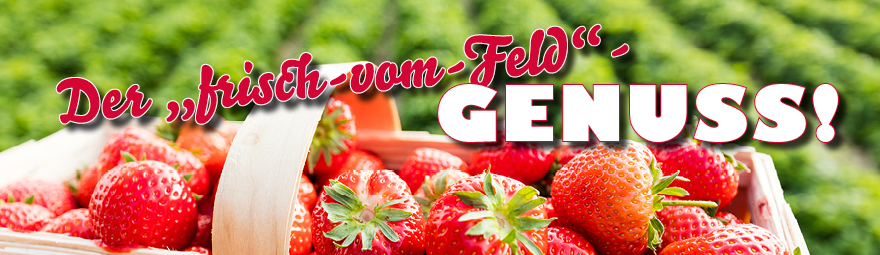 frische Erdbeeren aus Ihrem WASGAU Frischemarkt