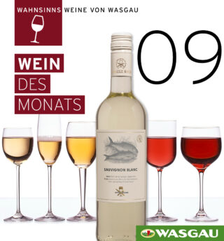 Eine Flasche Sauvignon Blanc steht vor fünf Weingläsern mit der Aufschrift 