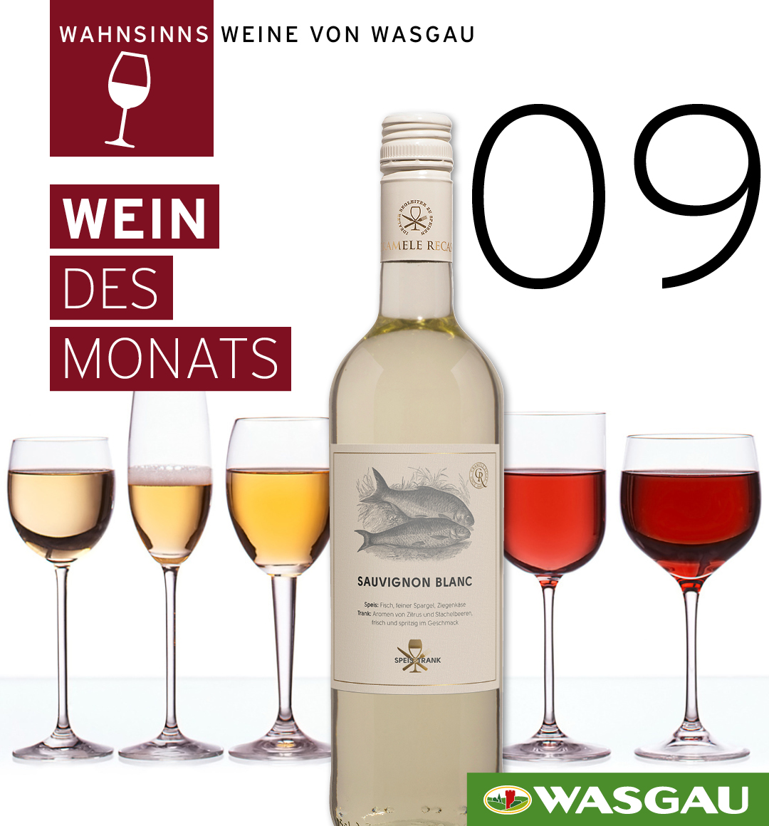 Eine Flasche Sauvignon Blanc steht vor fünf Weingläsern mit der Aufschrift 