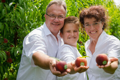 Pfirsiche aus der Pfalz - Obsthof Familie Becker