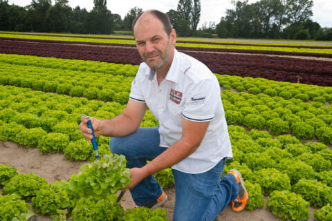 Pfälzer Gemüse - Gemüsebau Peter Steegmüller