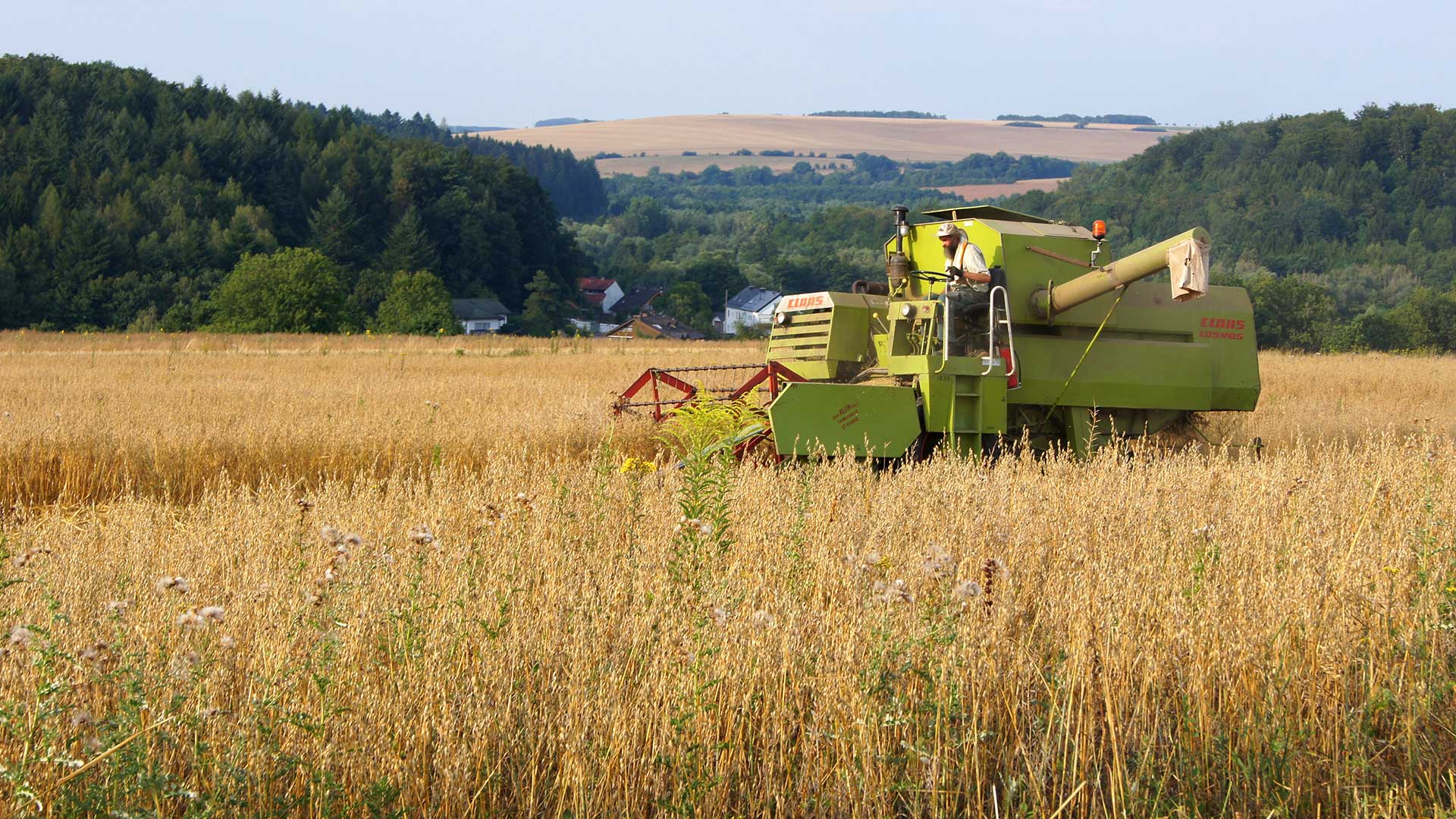 Regional_Bliesgau_Oelmuehle_2 