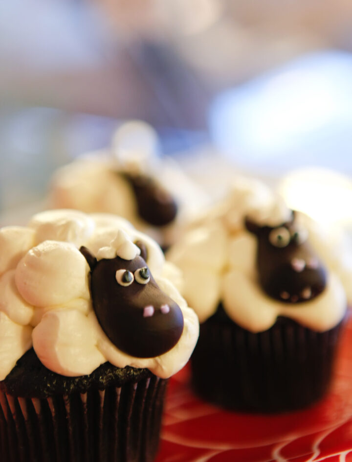 Schokomuffins mit weißem Frosting und Schoko-Dekoration, so dass diese fluffig wie kleine weiße Schäfchen aussehen.