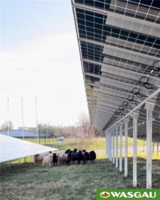 Grüne Energie für mehr Nachhaltigkeit