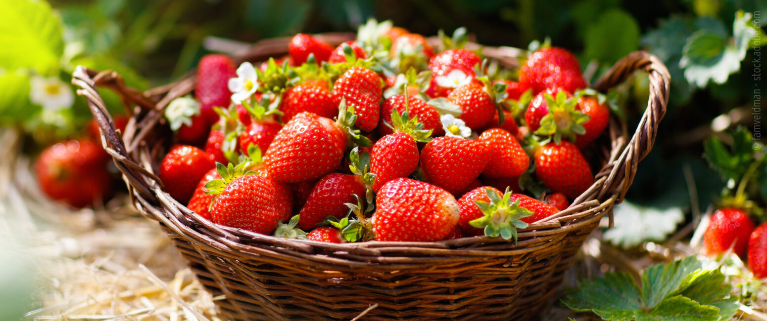 Saftig und frisch - Erdbeeren direkt aus deiner Region