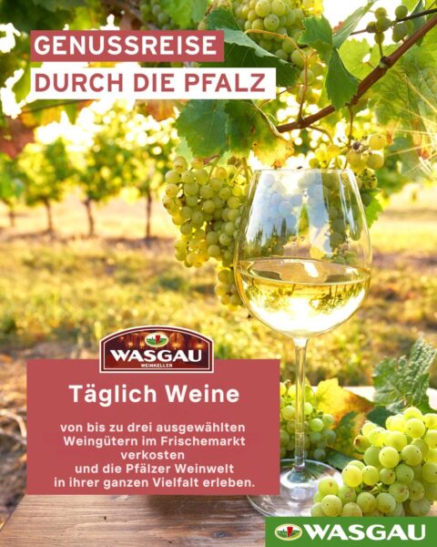Pfälzer Weinwelt in ihrer ganzen Vielfalt