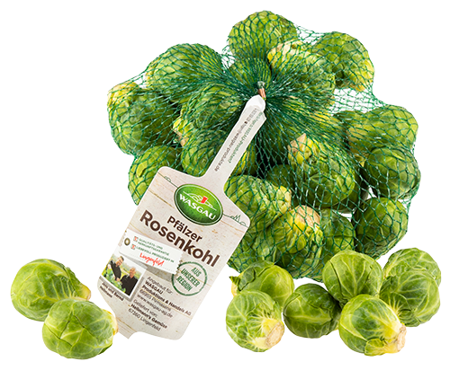 WASGAU-Rosenkohl-01