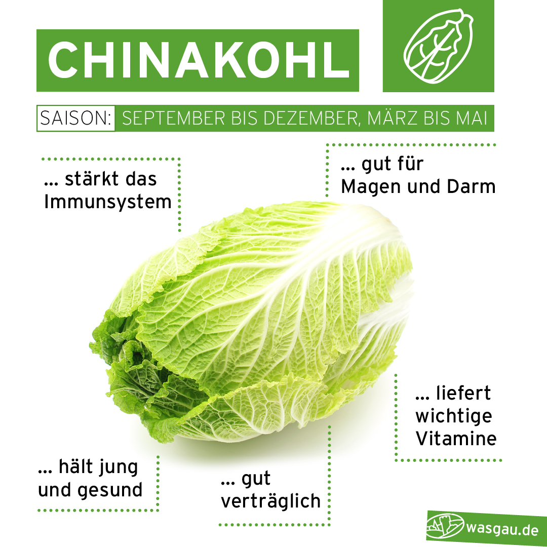 Gemüse aus der Saison von WASGAU - Chinakohl