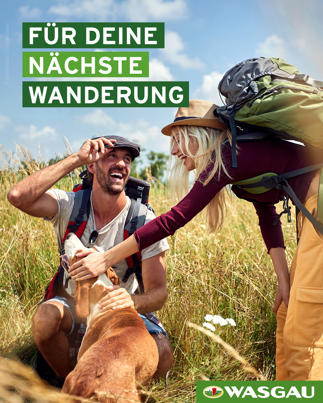 Lächelnde Wanderer mit einem Hund auf einer sonnigen Wiese, die Sonne und den Sommer genießend, mit deutschem Text, der für Wanderschuhe und Wanderbedarf von Wasgau wirbt.