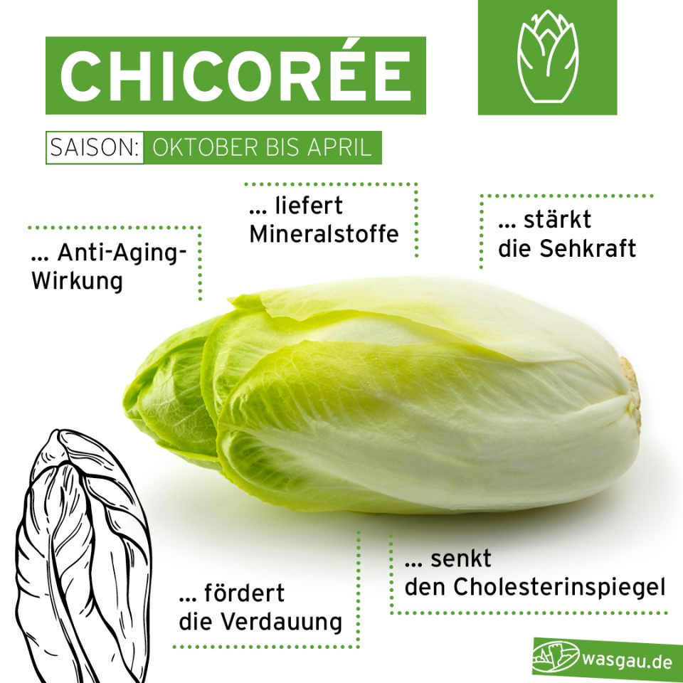 Schnelle Küche: Chicoree gesund und fettarm zubereiten.