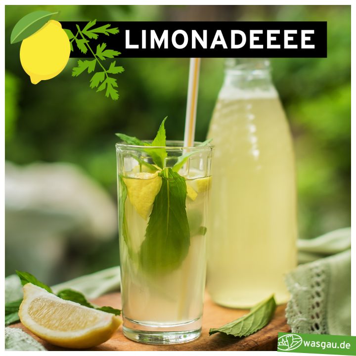 selbstgemachte Limonade mit Bio-Zutaten