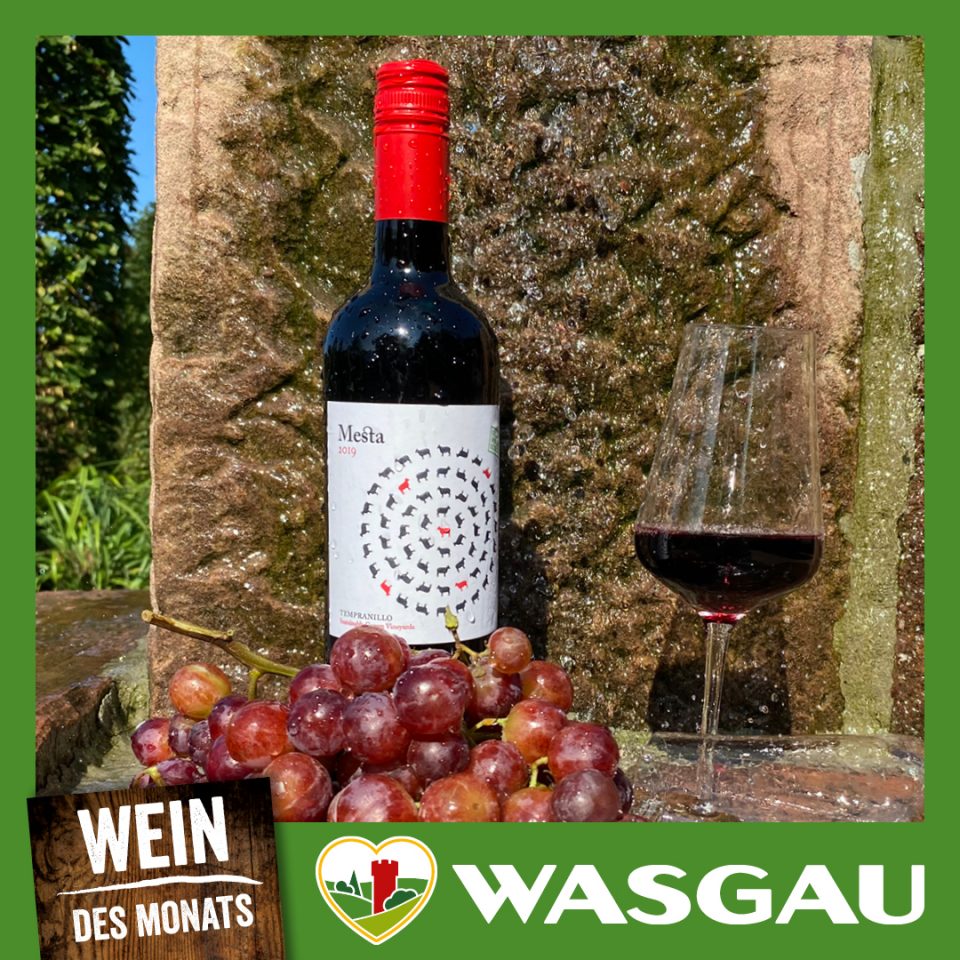 WASGAU Wein des Monats Oktober 2021