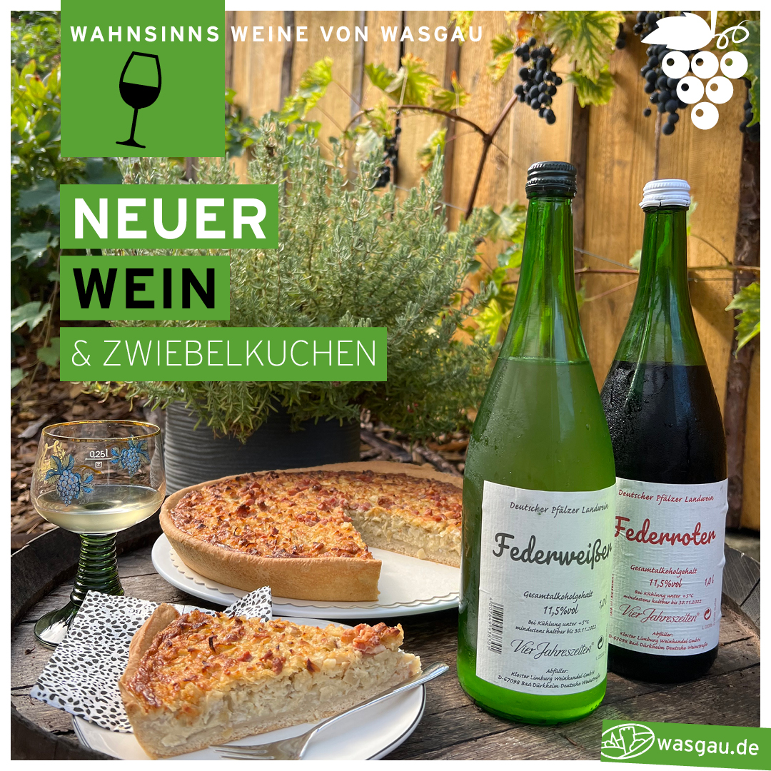 neuer Wein und Zwiebelkuchen, besser geht's nicht