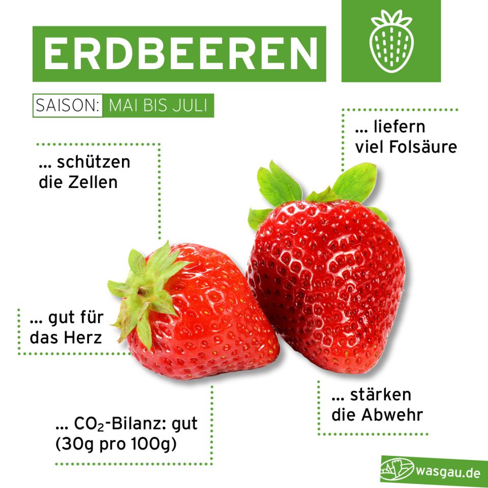 Erdbeeren aus der Region täglich frisch bei WASGAU