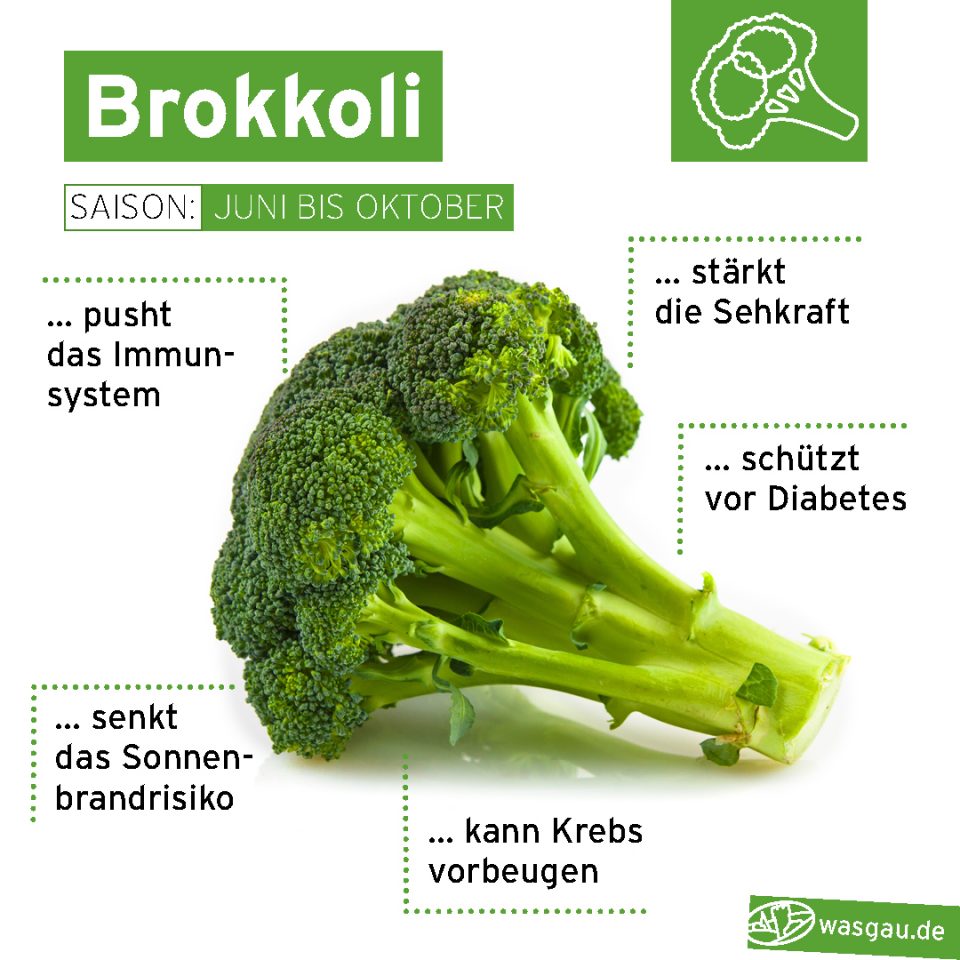 Sommer Saisonkalender: Brokkoli bei WASGAU kaufen