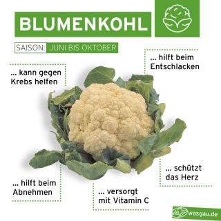 Saisonal einkaufen: Blumenkohl aus der Region lecker zubereiten