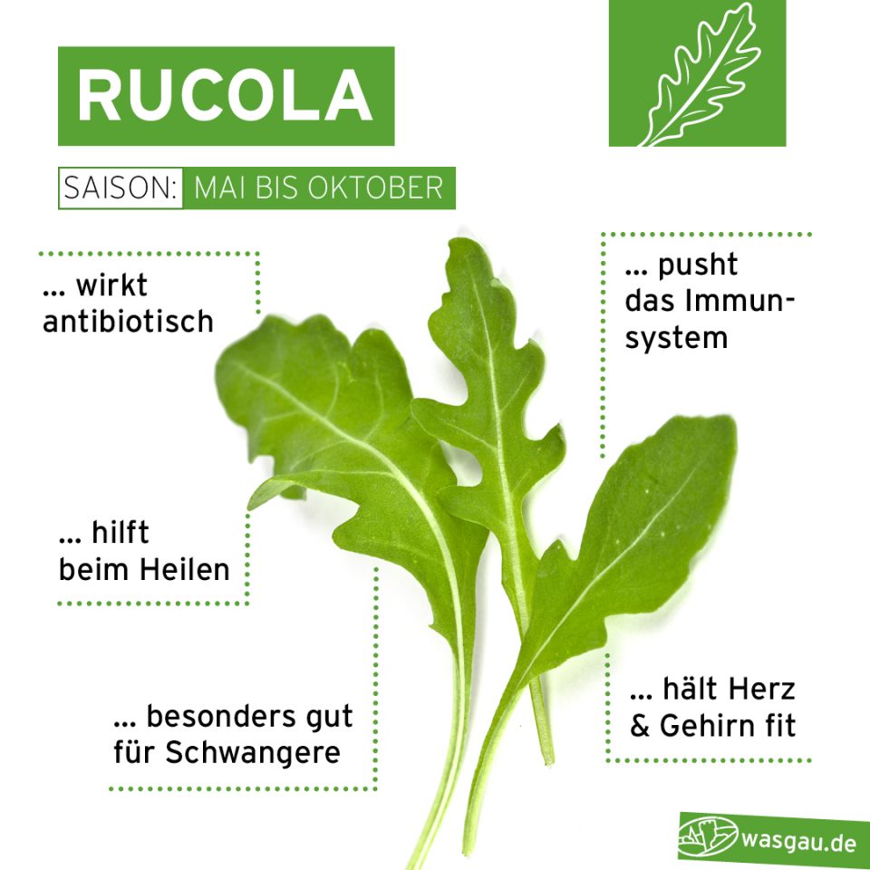 Rucola frisch zubereitet - einfach & lecker