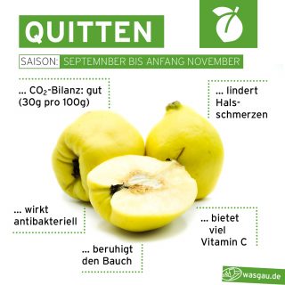 Quitten im WASGAU Saisonkalender