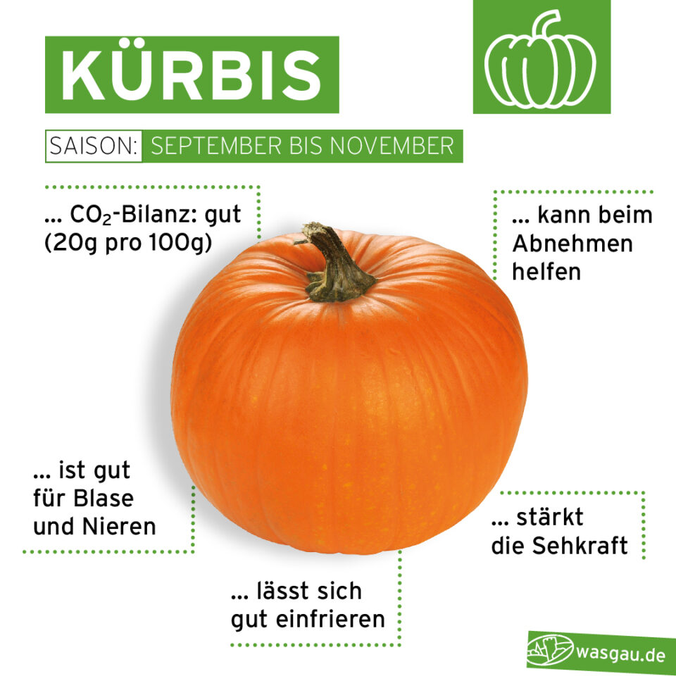 WASGAU Saisonkalender Herbst mit Kürbis aus der Region