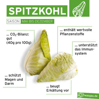 WASGAU Saisonkalender mit Spitzkohl lecker kochen