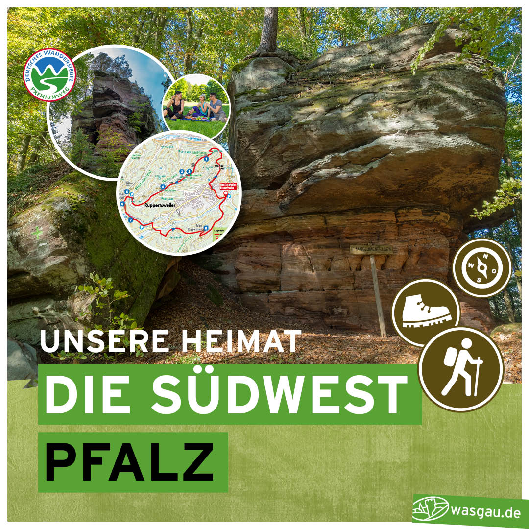 WASGAU_Post_1080x1080px_TWandertippsindd
