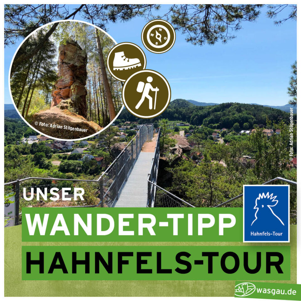 WASGAU_Wandertipp_Hahnfelstour