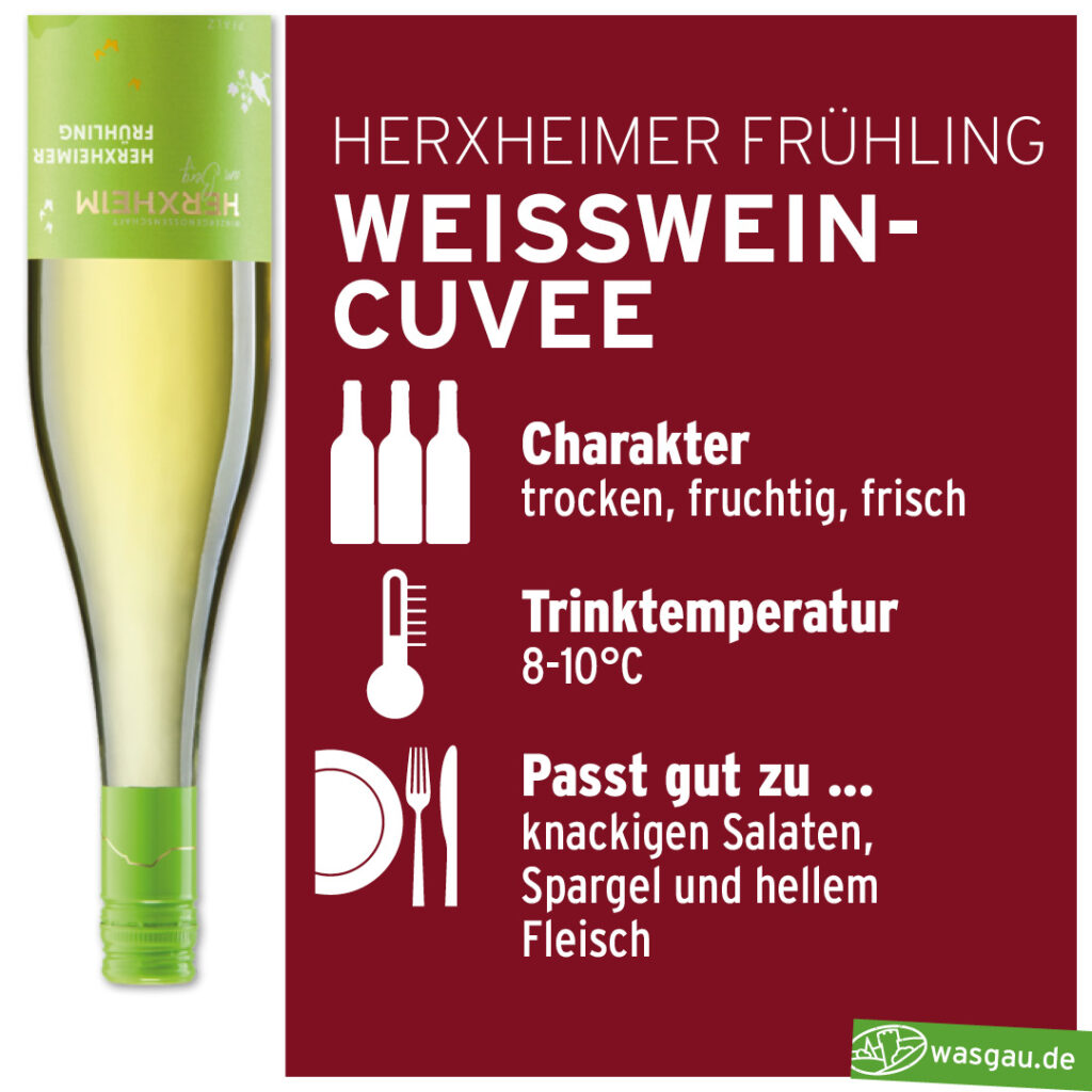 Infografik für WASGAU Herxheimer Frühling Weißwein-Cuvée mit Flaschenbild, Beschreibung des Weines als trocken, fruchtig und frisch. Empfohlene Serviertemperatur ist 8-10°C, passt gut zu Salaten, Spargel und hellem Fleisch.