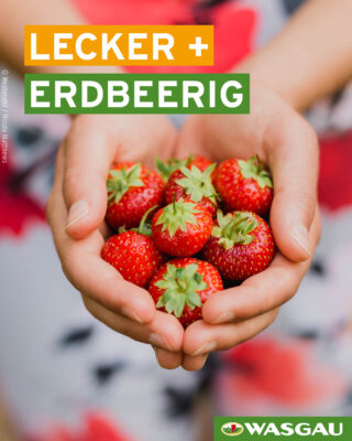 Sommerliebling_Erdbeere