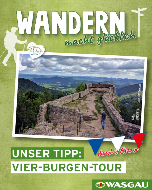 Wandertipp_Elsass_2026