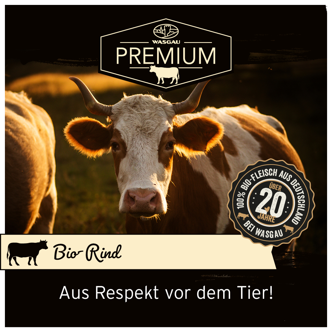 Eine braun-weiße Kuh, die auf einem sonnenbeschienenen Feld steht, mit dem Branding von hochwertigem Bio-Rindfleisch und deutschem Text.