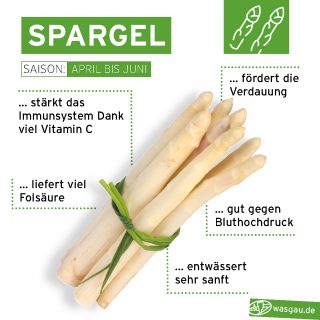 Pfälzer Spargel - frisch vom Feld - täglich frisch bei WASGAU