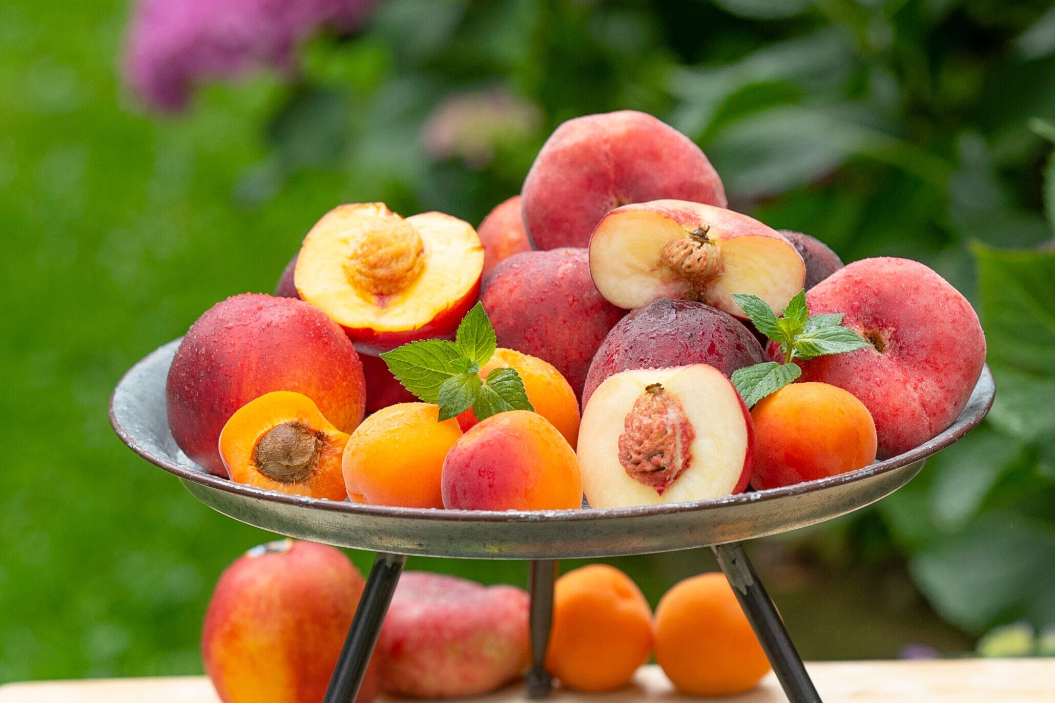 WASGAU_Sommerfruechte-aspect-ratio-3-2