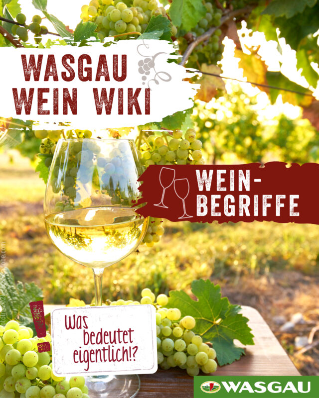 Begriffe rund um das Thema Wein - kurz und einfach erklärt