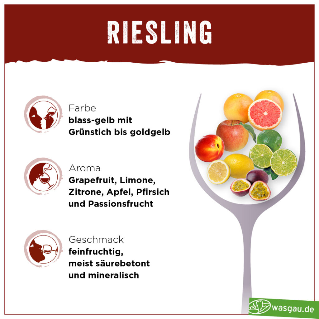 Infografik zu Rieslingwein: Ein WASGAU-Weinglas mit verschiedenen Obstsorten darin, darunter Grapefruit, Limone, Zitrone, Apfel, Pfirsich und Passionsfrucht. Text zu Farbe, Aroma und Geschmack des Weins.