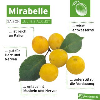 WASGAU Saison- fruchtige Mirabellen aus der Region geniessen