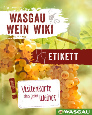 Nahaufnahme von gelben Trauben an einem Pfälzer Weinstock, überlagert mit deutschem Text über Weinetiketten. Grafiken von Weingläsern und einer Weintraube erscheinen mit den Logos und dem Branding von WASGAU. Helle, einladende Farben dominieren den Hintergrund.