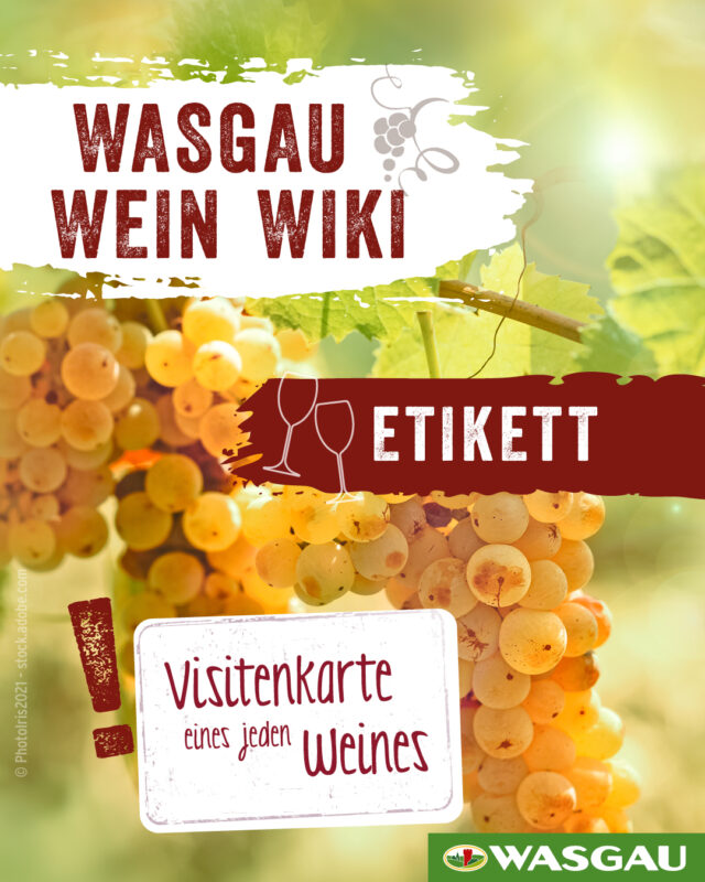 Nahaufnahme von gelben Trauben an einem Pfälzer Weinstock, überlagert mit deutschem Text über Weinetiketten. Grafiken von Weingläsern und einer Weintraube erscheinen mit den Logos und dem Branding von WASGAU. Helle, einladende Farben dominieren den Hintergrund.