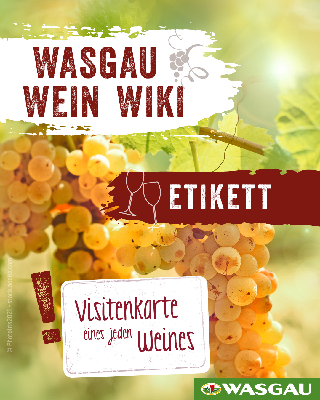 Nahaufnahme von gelben Trauben an einem Pfälzer Weinstock, überlagert mit deutschem Text über Weinetiketten. Grafiken von Weingläsern und einer Weintraube erscheinen mit den Logos und dem Branding von WASGAU. Helle, einladende Farben dominieren den Hintergrund.