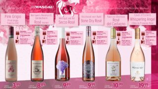 Sechs Flaschen verschiedener Roséweine stehen bei WASGAU aufrecht vor einem rosafarbenen, künstlerischen Hintergrund, jeweils mit Beschreibung und Preisangabe darunter. Das Thema betont den Roséwein, den Sommergenuss und das gesellige Beisammensein.