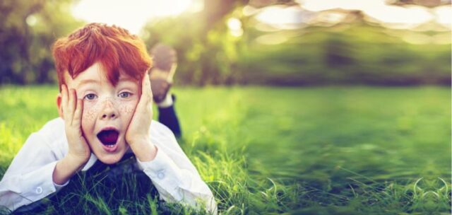 Ein Junge mit roten Haaren und weißem Hemd liegt im Freien auf dem sonnenbeschienenen WASGAU-Gras, hält sein Gesicht in den Händen und sieht überrascht oder aufgeregt aus. Der grüne Hintergrund leuchtet warm.