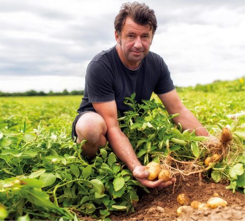 Pfälzer Kartoffeln aus der Region - Gemüsebau Patrik Starck