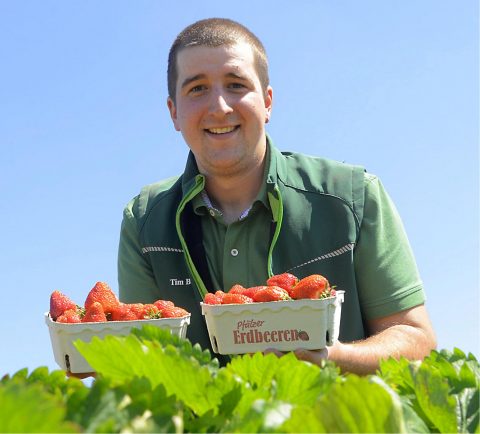 Regionale Erdbeeren aus der Pfalz  - Martinshof Tim Ballreich