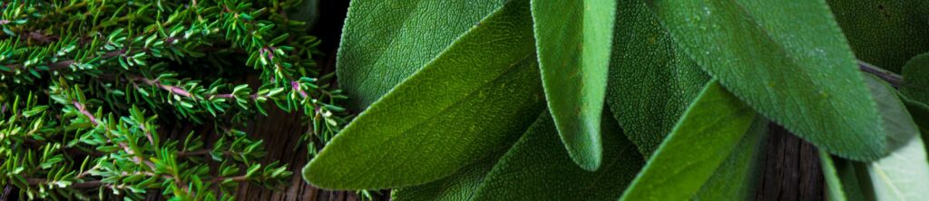 Pfälzer Kartoffelsuppe